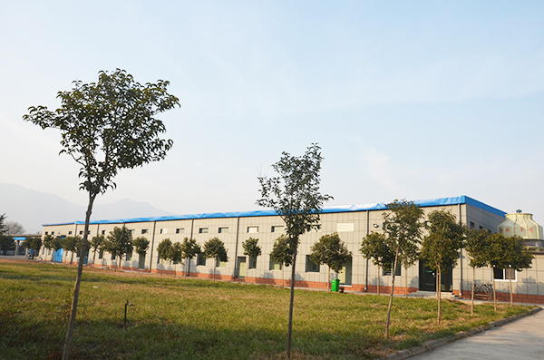 環境展示